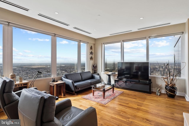 living room with wood-type flooring and a wealth of natural light