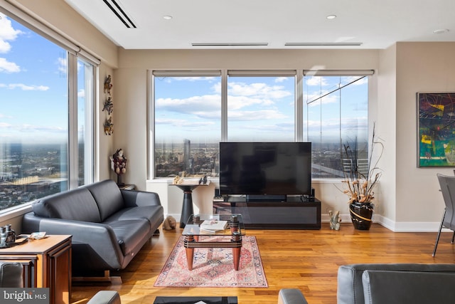 living room featuring hardwood / wood-style flooring and a wealth of natural light