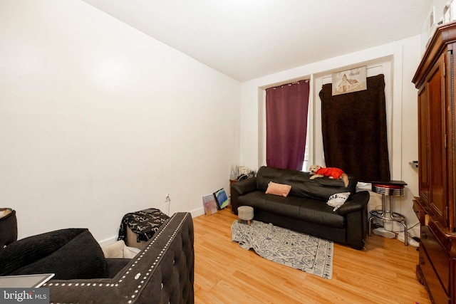 living room with hardwood / wood-style floors