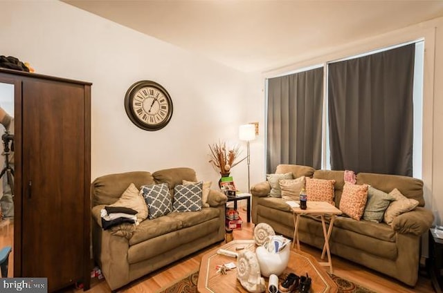 living room with hardwood / wood-style flooring