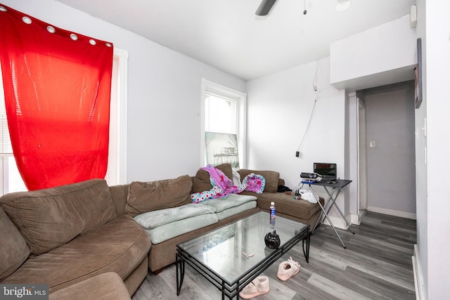 living room featuring hardwood / wood-style floors and ceiling fan