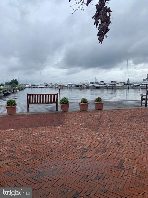 dock area with a water view