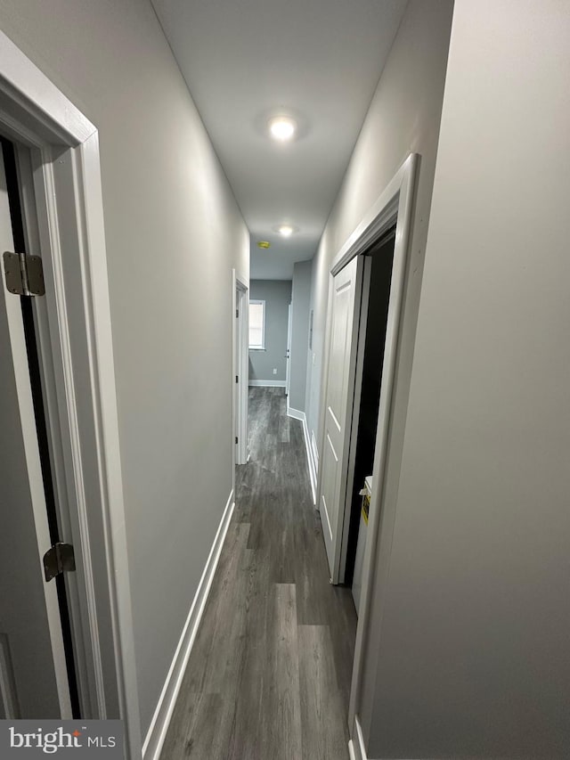 hallway with dark wood-type flooring