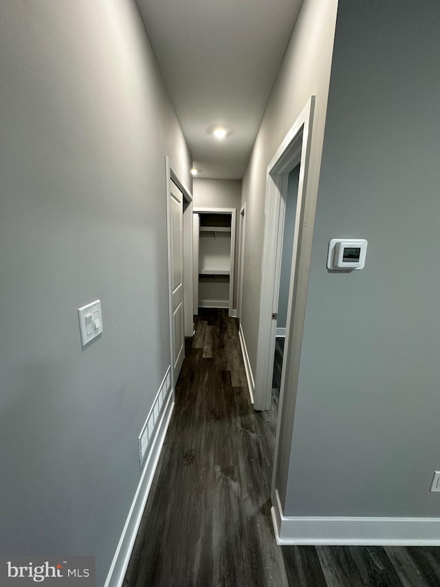 hallway featuring dark hardwood / wood-style flooring