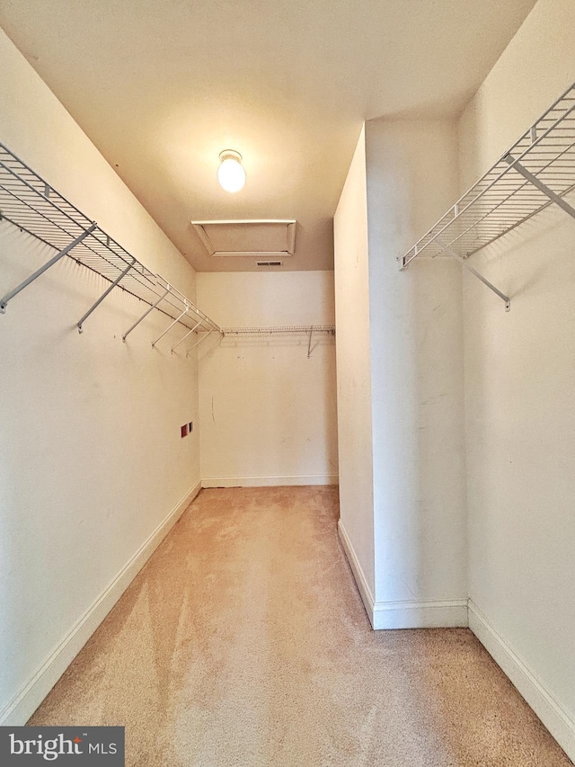 107 Sequoia Dr, Berlin, NJ 08009 - spacious closet featuring carpet flooring and attic access