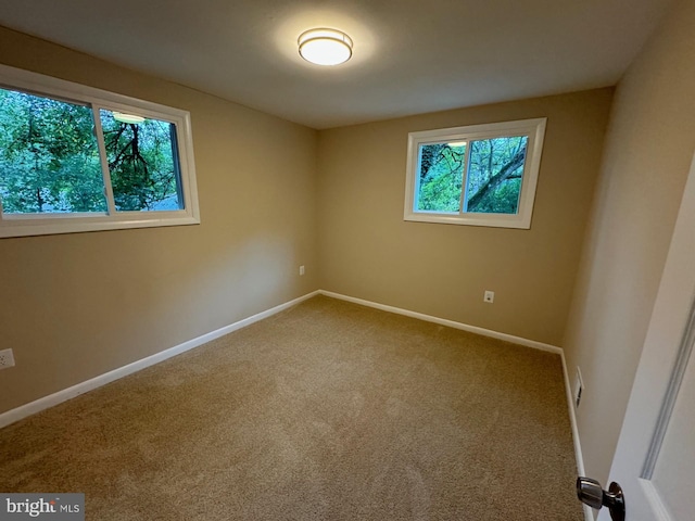 carpeted spare room with plenty of natural light