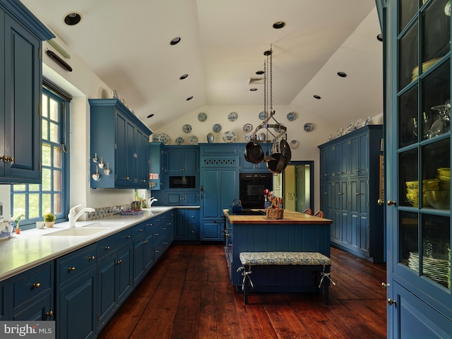 kitchen with black appliances, dark hardwood / wood-style floors, blue cabinetry, and sink