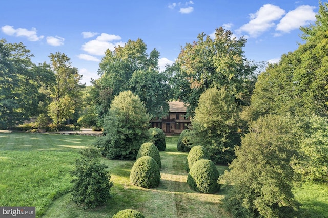 view of home's community with a lawn