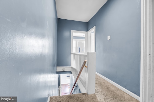 stairway with carpet and a healthy amount of sunlight