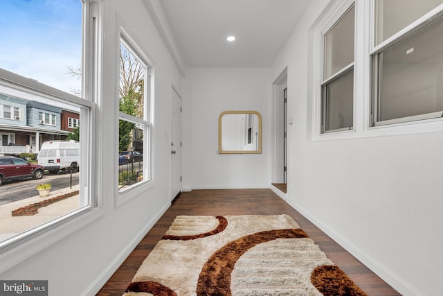 hallway with plenty of natural light and dark hardwood / wood-style floors