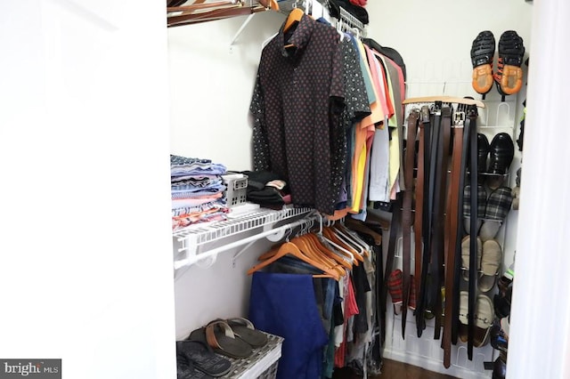 spacious closet featuring hardwood / wood-style flooring