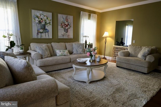 living room with crown molding and hardwood / wood-style floors