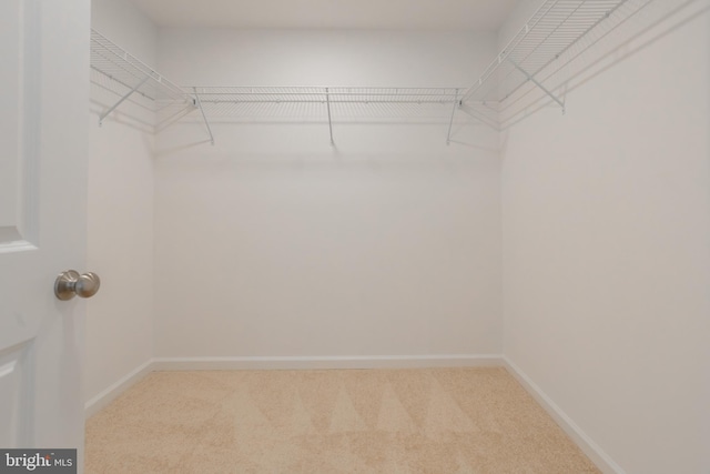 walk in closet with carpet