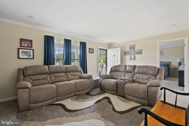 carpeted living room with a textured ceiling and ornamental molding