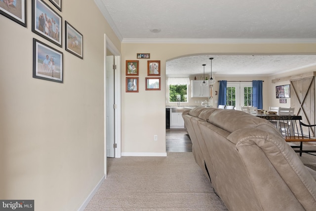 carpeted living room with a textured ceiling, french doors, and crown molding