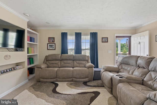 carpeted living room with a textured ceiling and ornamental molding