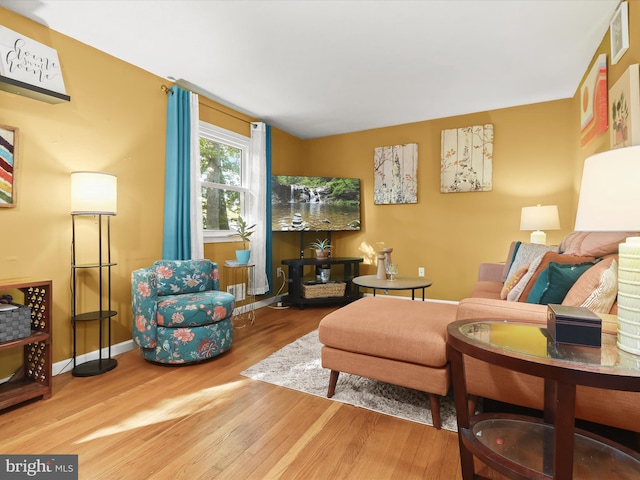 living room featuring hardwood / wood-style flooring