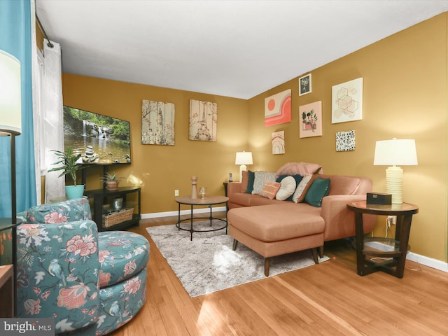 living room with hardwood / wood-style flooring