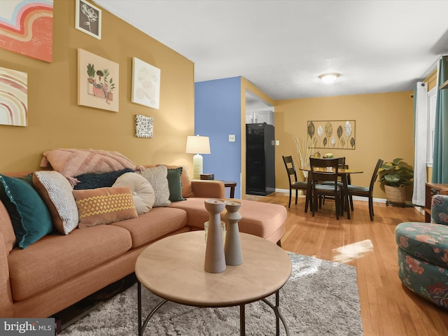 living room with wood-type flooring