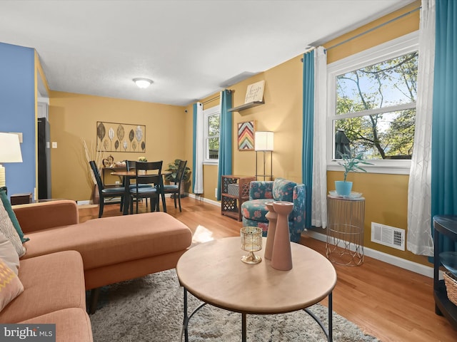 living room featuring hardwood / wood-style floors