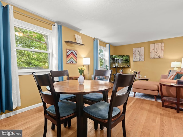 dining area featuring light hardwood / wood-style flooring and a wealth of natural light