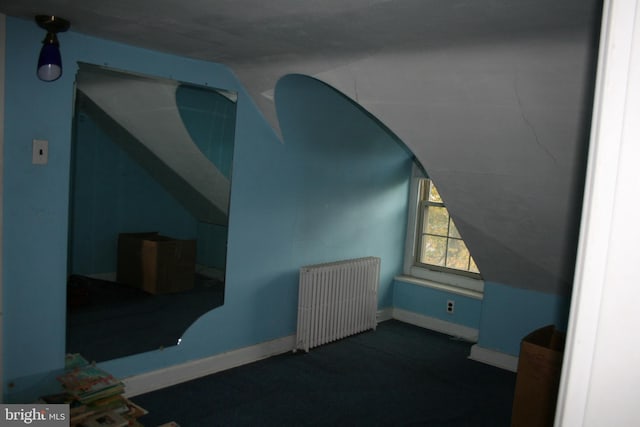 additional living space with lofted ceiling and radiator heating unit