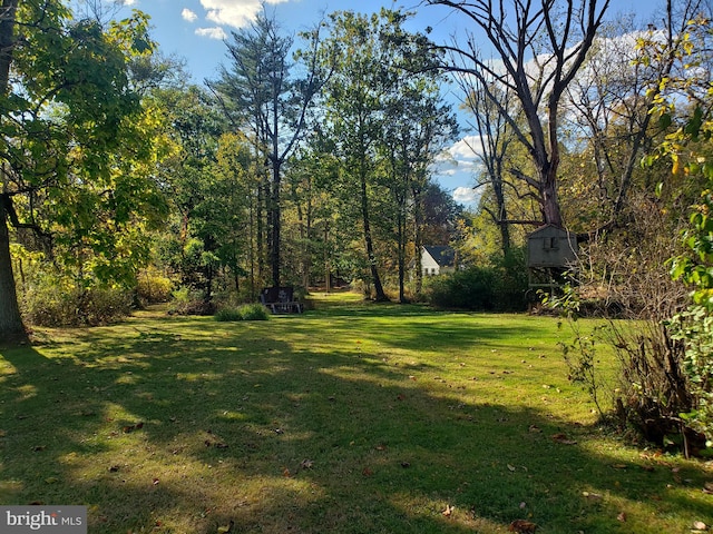 view of yard