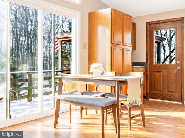 dining space with light hardwood / wood-style flooring