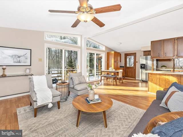 living room featuring ceiling fan, vaulted ceiling, and light wood-type flooring