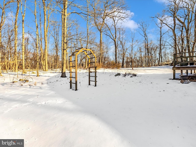 view of yard covered in snow