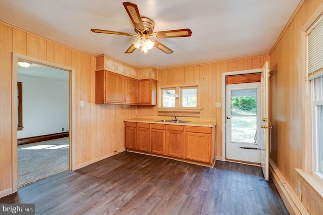 kitchen with wood walls, dark hardwood / wood-style floors, and sink