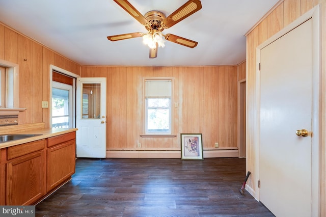 kitchen featuring a baseboard heating unit, a wealth of natural light, dark wood-type flooring, and wooden walls