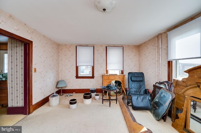 living area featuring carpet floors