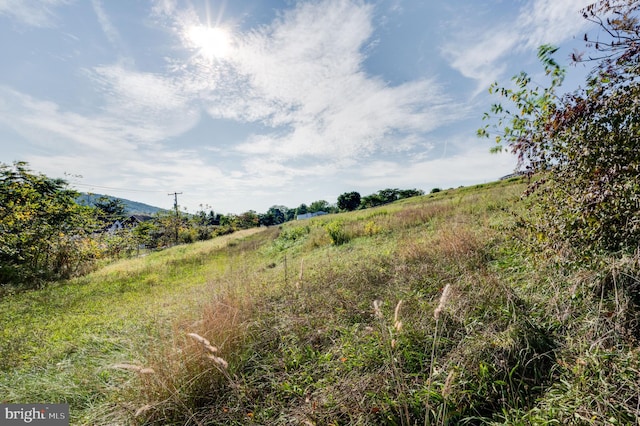 view of local wilderness with a rural view