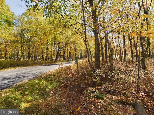 view of road