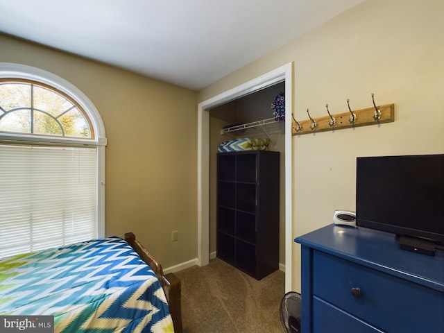 bedroom featuring a closet and carpet floors