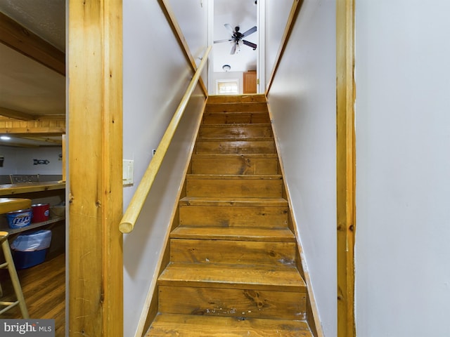 stairway with ceiling fan and hardwood / wood-style flooring