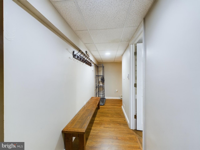 hallway featuring a paneled ceiling and light hardwood / wood-style floors