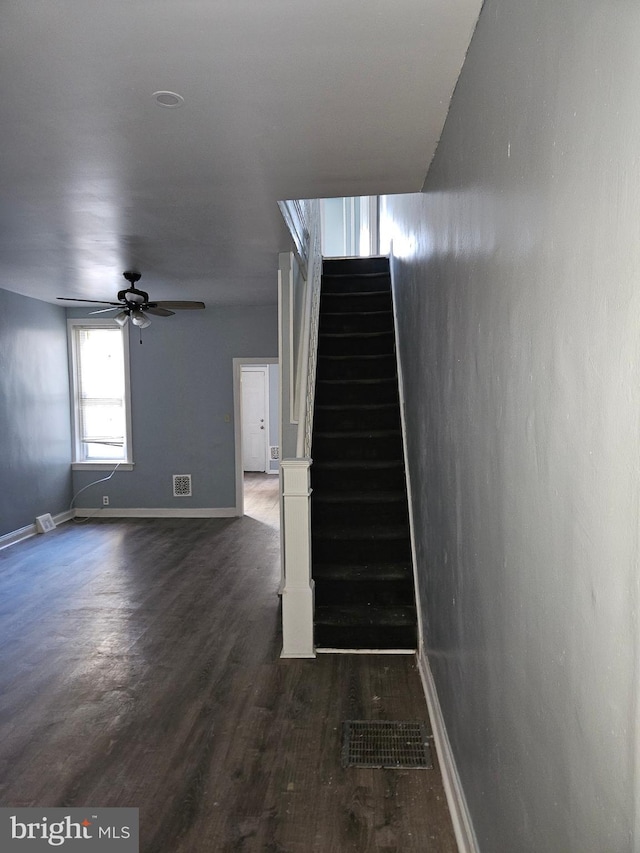 stairway featuring ceiling fan and hardwood / wood-style flooring