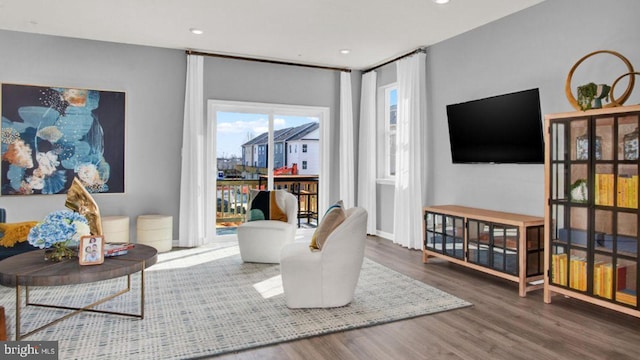 living room featuring dark hardwood / wood-style flooring