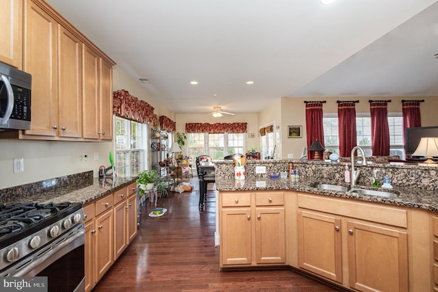 kitchen with dark wood-type flooring, dark stone counters, sink, and stainless steel appliances