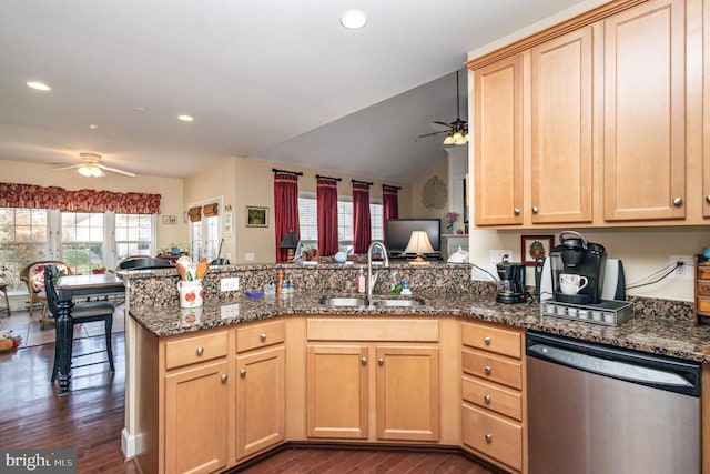 kitchen featuring dishwasher, kitchen peninsula, plenty of natural light, and dark wood-type flooring