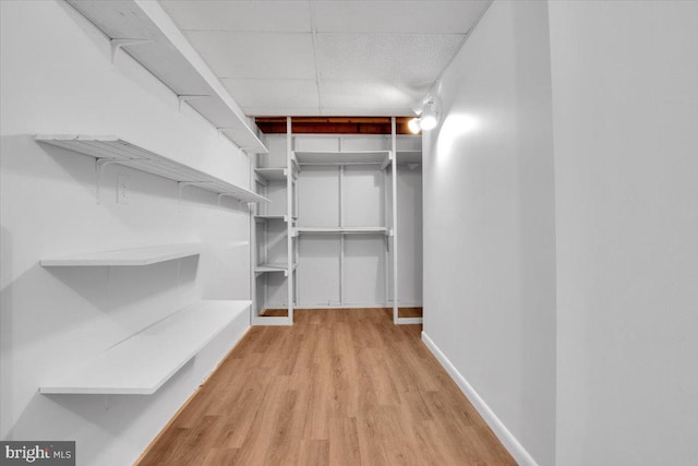 walk in closet with light wood-type flooring