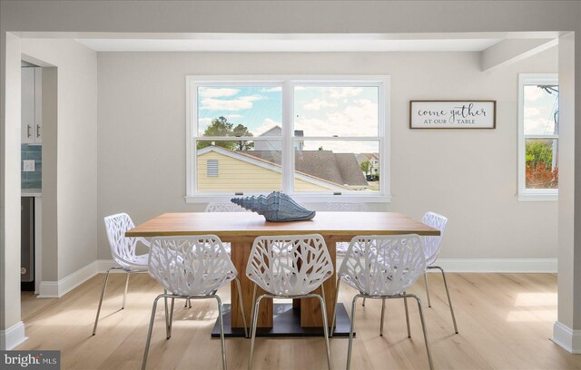 dining space featuring light hardwood / wood-style flooring and a healthy amount of sunlight