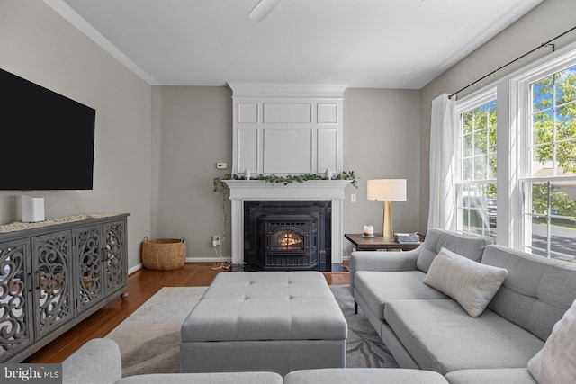 living room featuring dark hardwood / wood-style floors