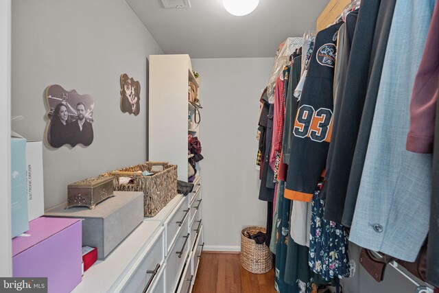 walk in closet featuring dark hardwood / wood-style floors