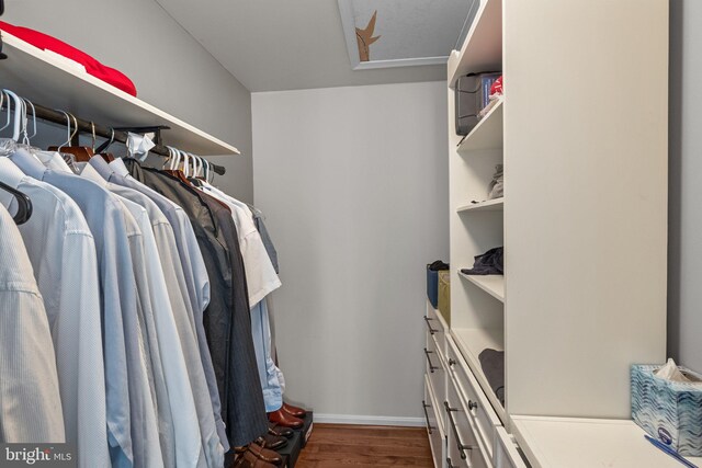 spacious closet with dark wood-type flooring