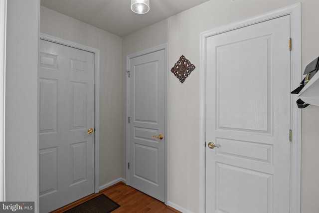 entrance foyer with wood-type flooring