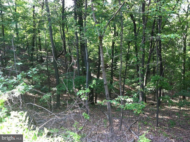 LOT18 Pee Wee Ln, Hedgesville WV, 25427 land for sale