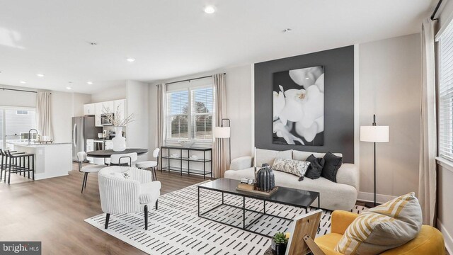 living room featuring sink and hardwood / wood-style flooring